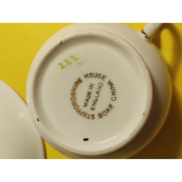 Staffordshire House Fine Bone China Hand Painted Tea Cup and Saucer - Picture 10 of 10